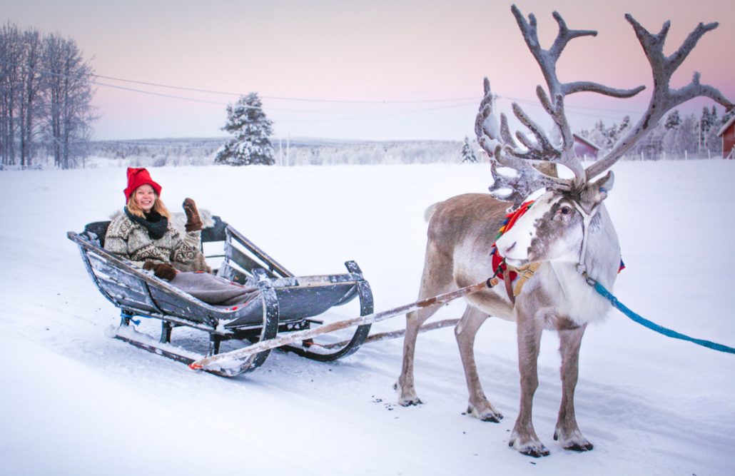 What are Santa's reindeer like? - FINLAND, NATURALLY