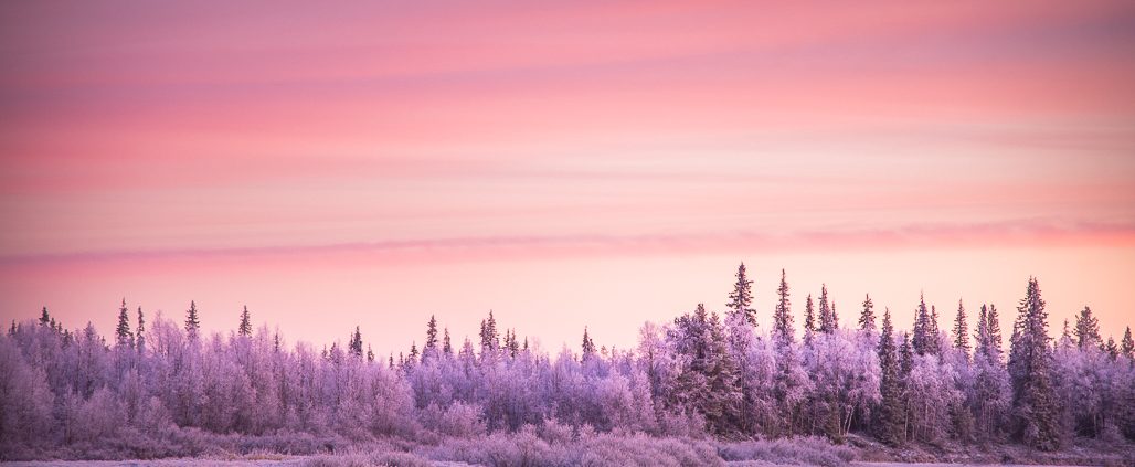 Pink Skies And Freezing Cold This Is What S Going On In Lapland Right Now Finland Naturally