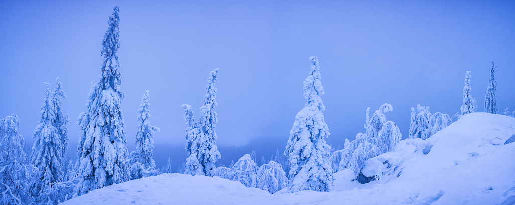 Winter fairy tale land – Koli