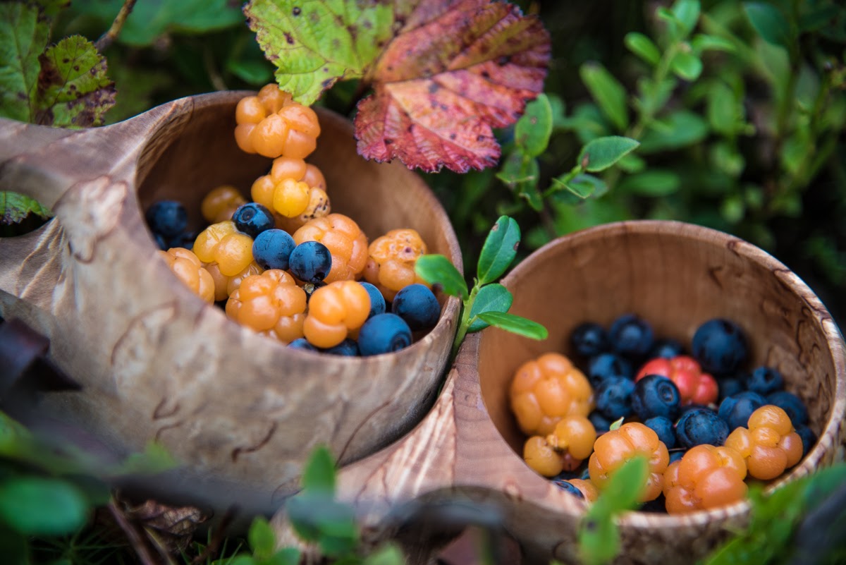 Wild berries of the north are real superfood