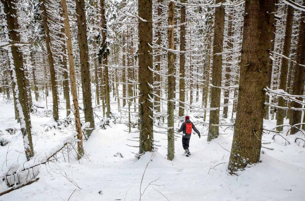 Snowshoeing in Puijo forest in winter. Photo: Upe Nykänen