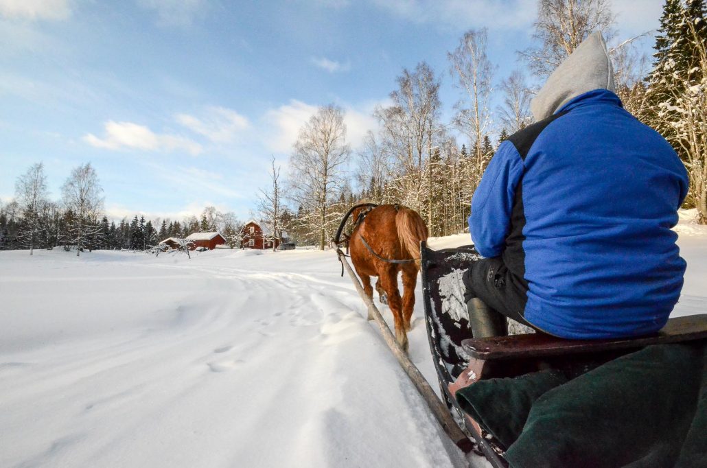 Sleighride at Konttila farm in winter, Puijo, Kuopio, Finland. Photo: Upe Nykänen