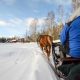 Sleighride at Konttila farm in winter, Puijo, Kuopio, Finland. Photo: Upe Nykänen