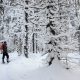 Snowshoeing in Puijo forest in winter. Photo: Upe Nykänen