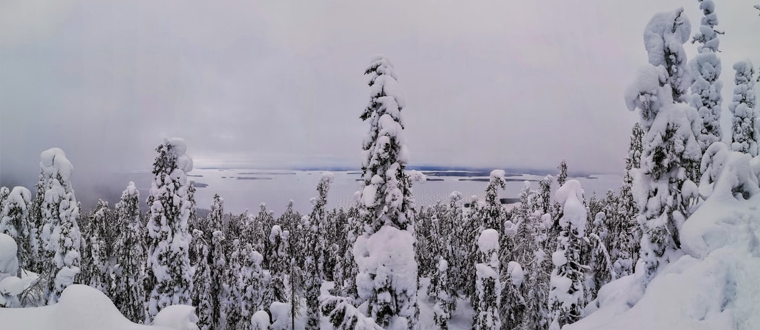 This is what it’s like to walk through the winter forest trails in Koli national park