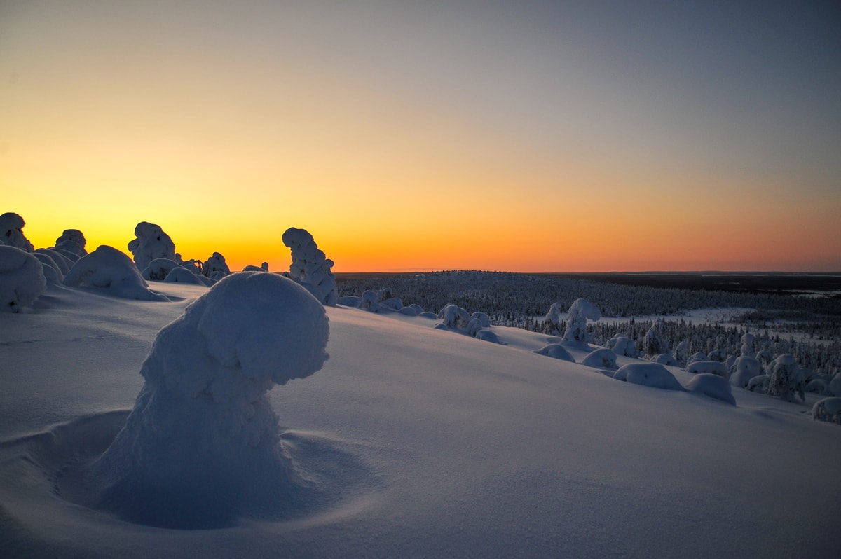 This is what the Polar Night looks like just before Christmas in Lapland