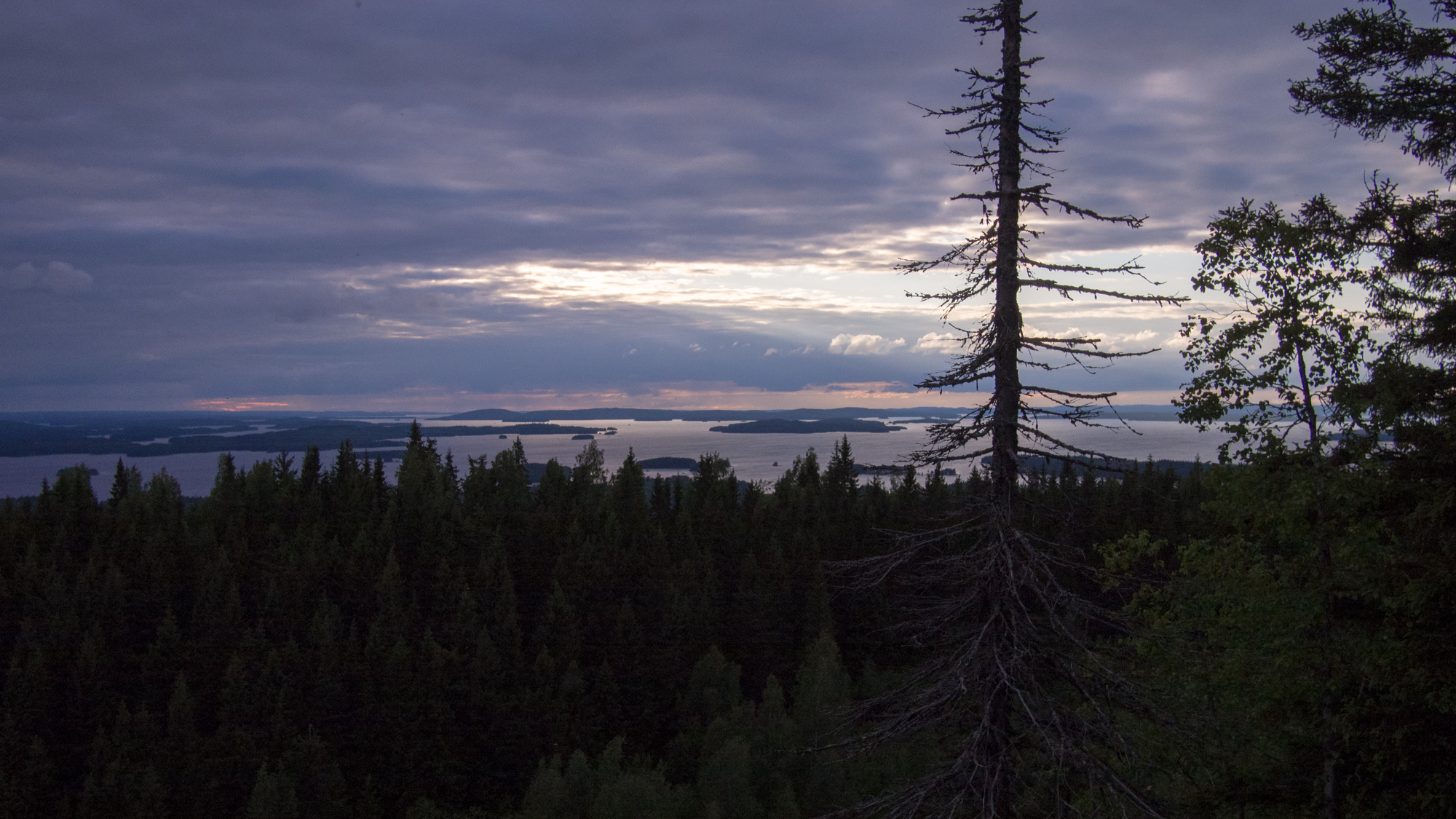 Koli is cherished by Finns – explore its hidden treasures like a local