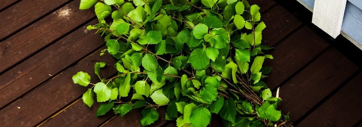 A birch whisk made from fresh branches placed on the wooden sauna terrace.