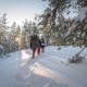 The terrain in Nuuksio is hilly, and during winter, there is often plenty of snow—much more than just a stone’s throw away in Helsinki.