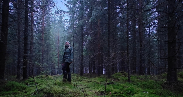 A rainy and gray spruce forest with the ground covered in lush green moss. A person stands in the forest, looking up.