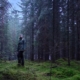 A rainy and gray spruce forest with the ground covered in lush green moss. A person stands in the forest, looking up.
