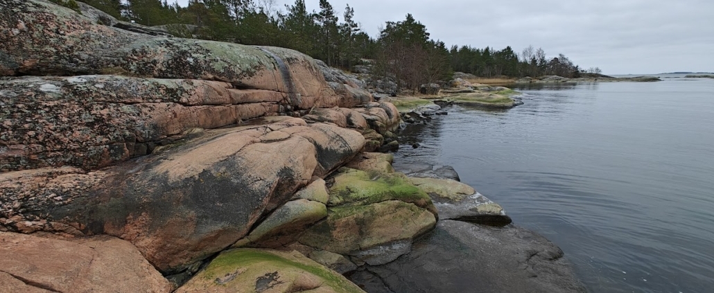 Pinkish and gray smooth rocks on a forested seashore, the sea is calm and peaceful, and the sky is gray.