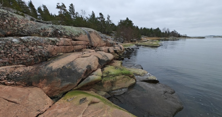 Pinkish and gray smooth rocks on a forested seashore, the sea is calm and peaceful, and the sky is gray.