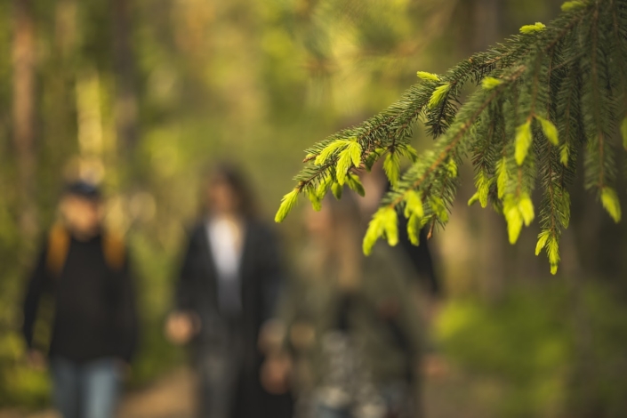 Finland nature experiences Nuuksio