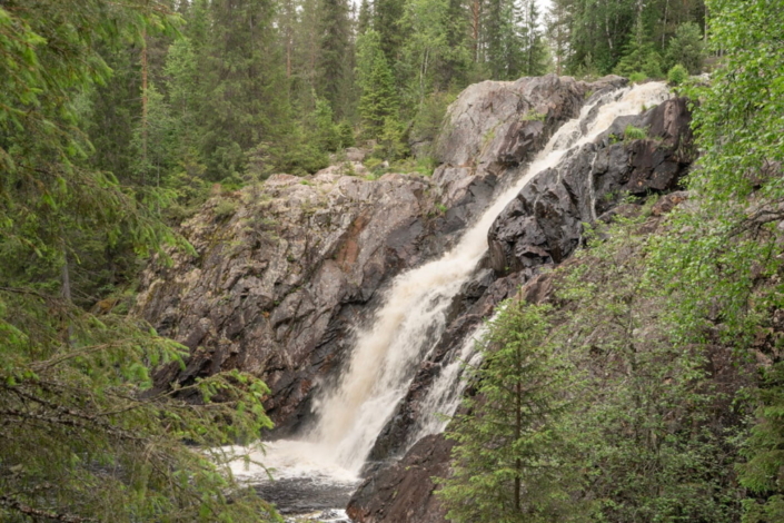 HepokongasAPackalen