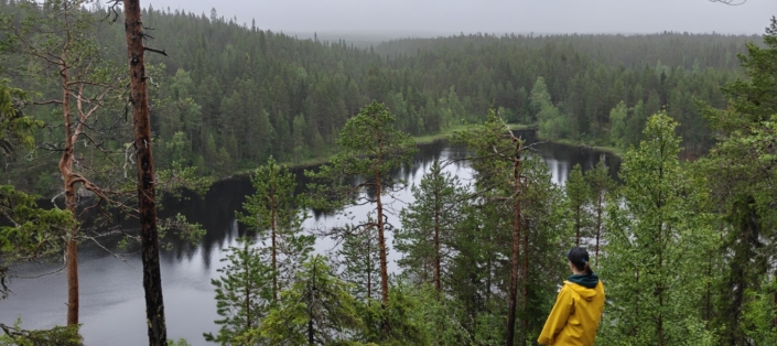oplus_8592031776